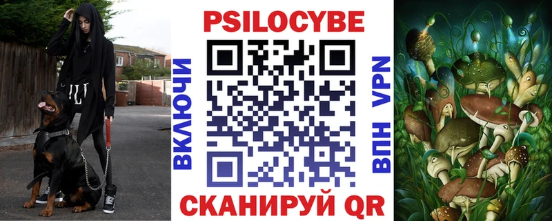 где найти наркотики  Шелехов  Галлюциногенные грибы Cubensis 